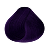 RBL
