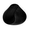 RBL